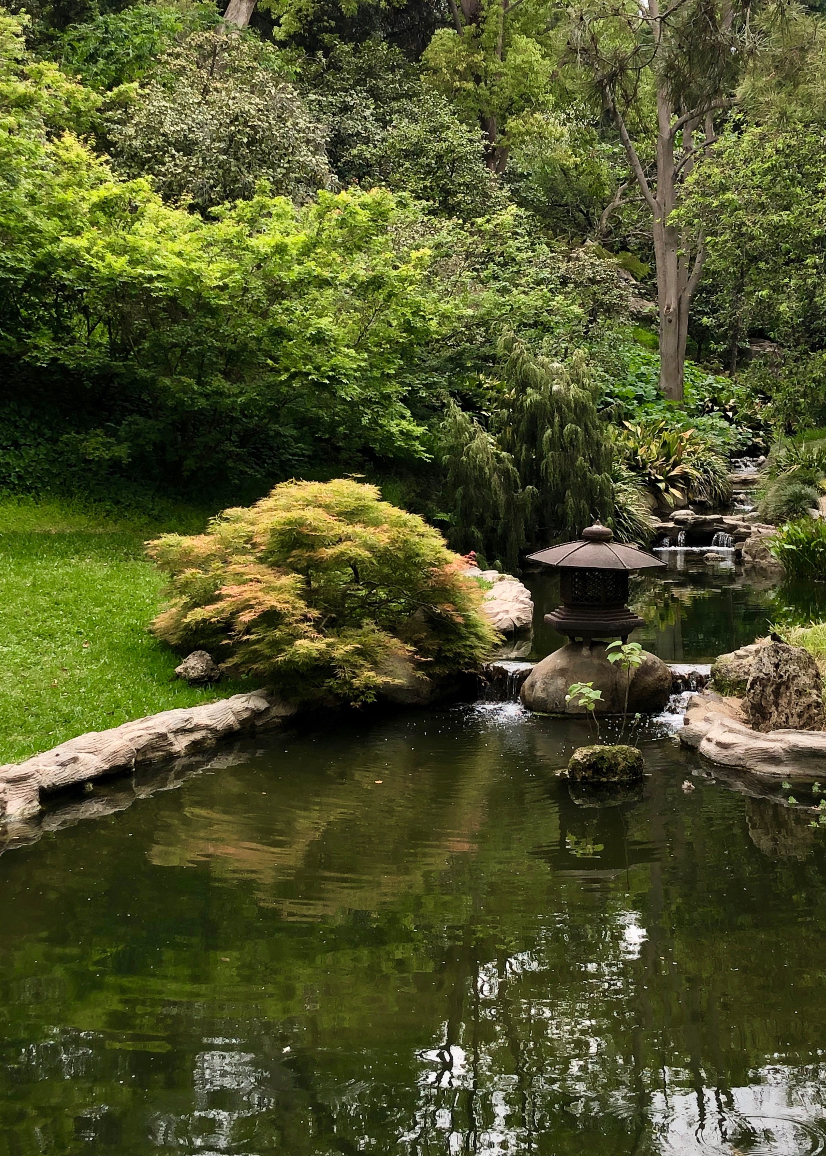 Huntington Botanical Gardens