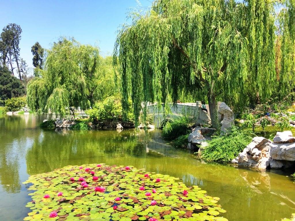 22 Huntington Garden Pasadena Ideas You Must Look SharonSable