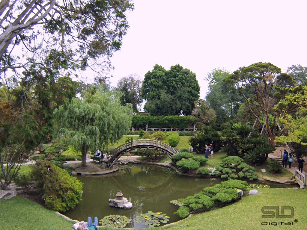 Huntington Gardens Pasadena Blogsavemoneyinfo