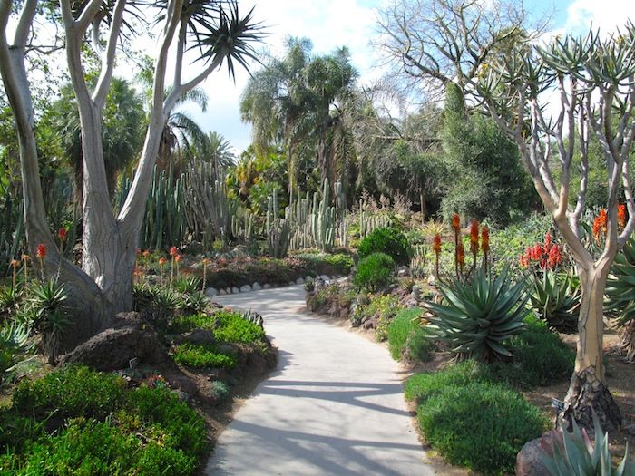 Howtogethimtopropose Botanical Gardens