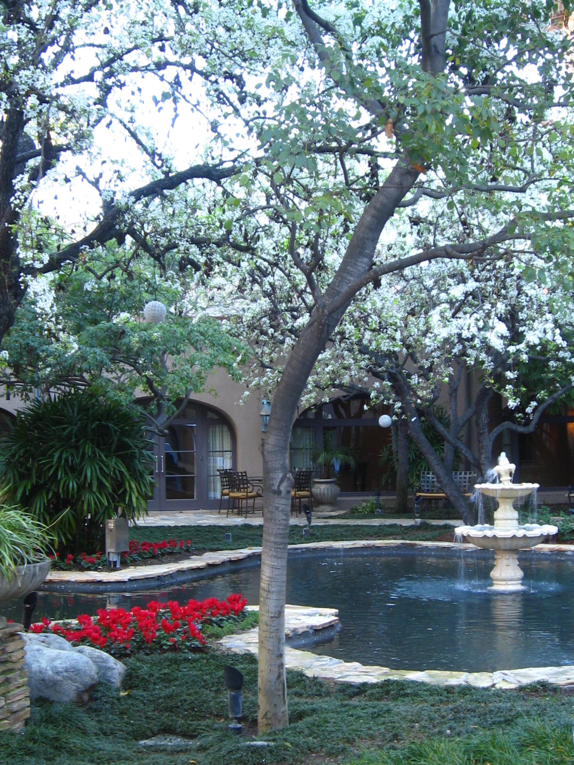 Japanese Gardens Huntington Museum