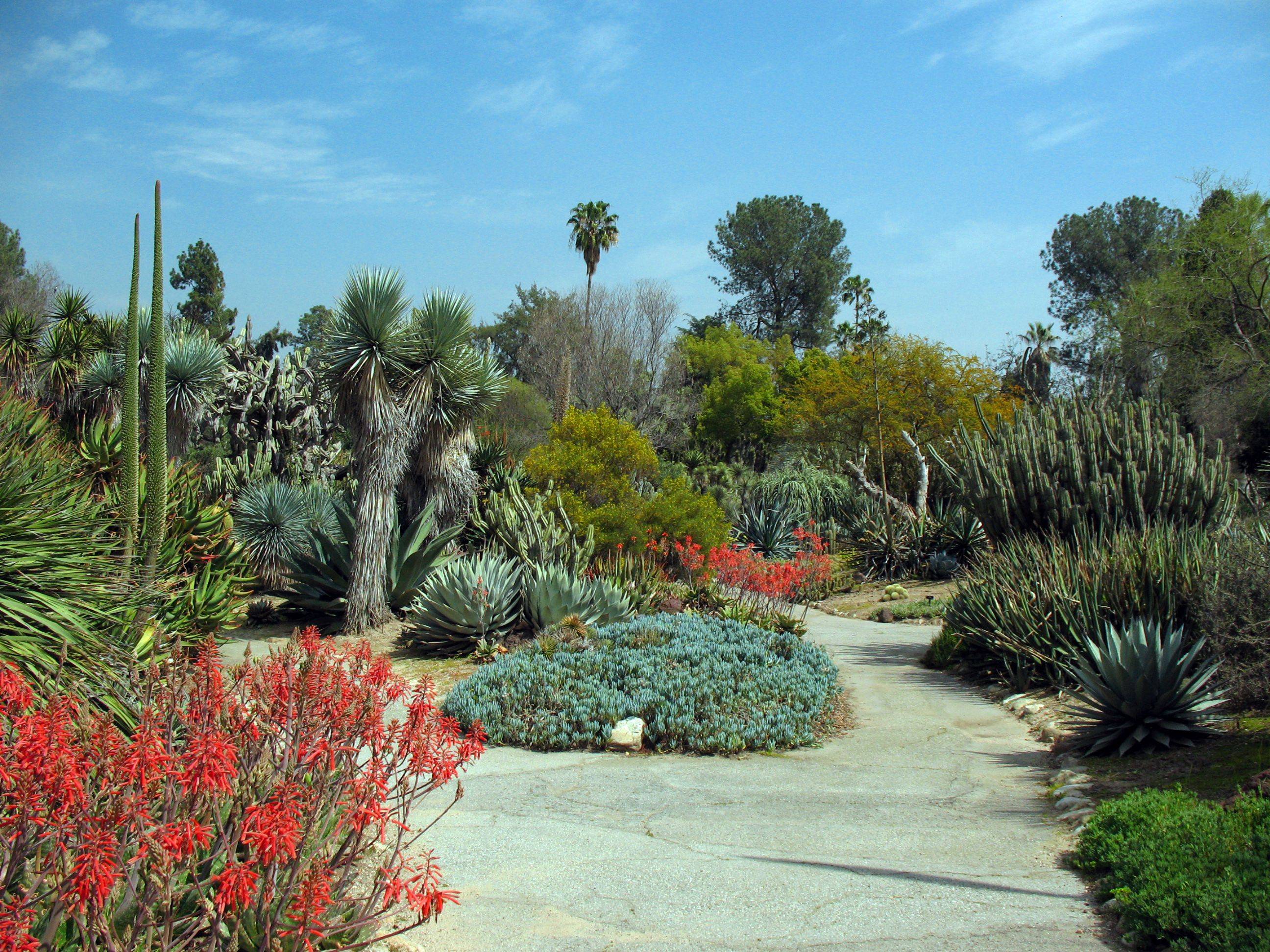 The Huntington Library