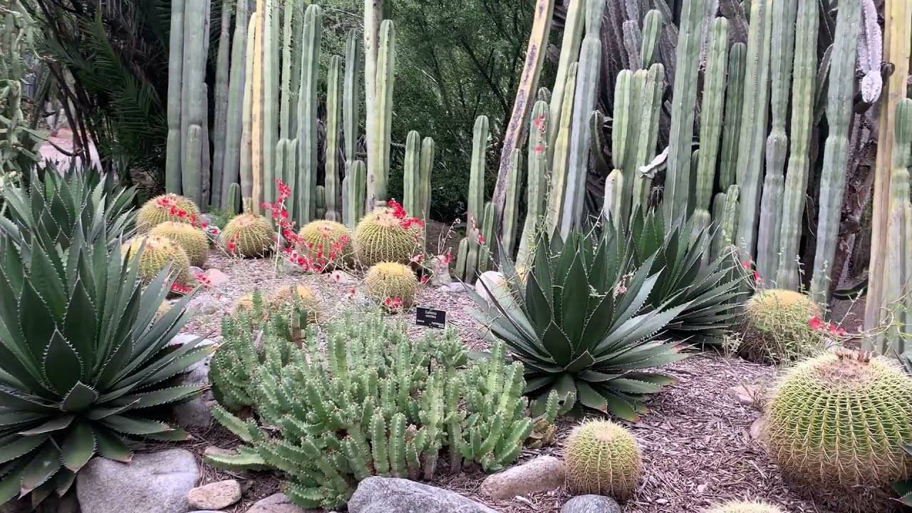 The Huntington Library