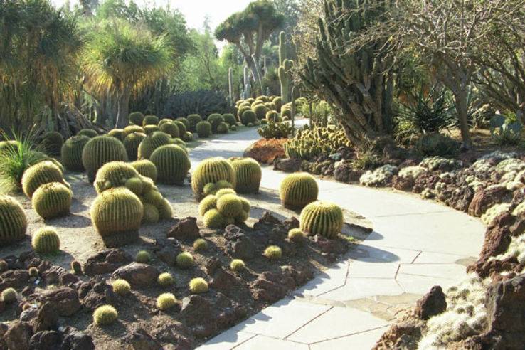 The Huntington Library Desert Garden