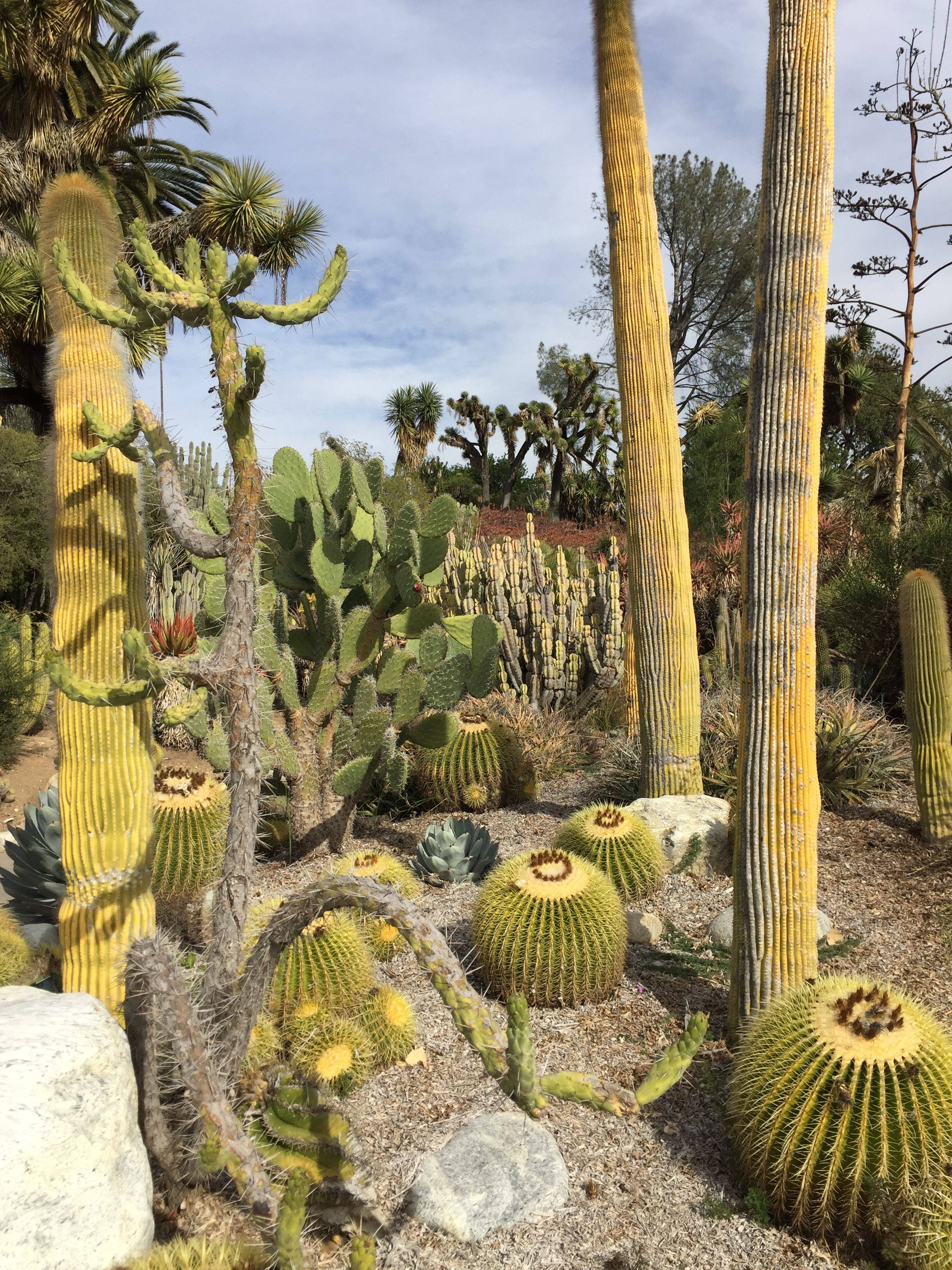 The Huntington Library