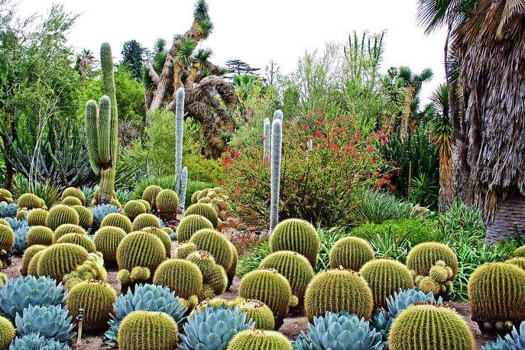 The Huntington Library Hither