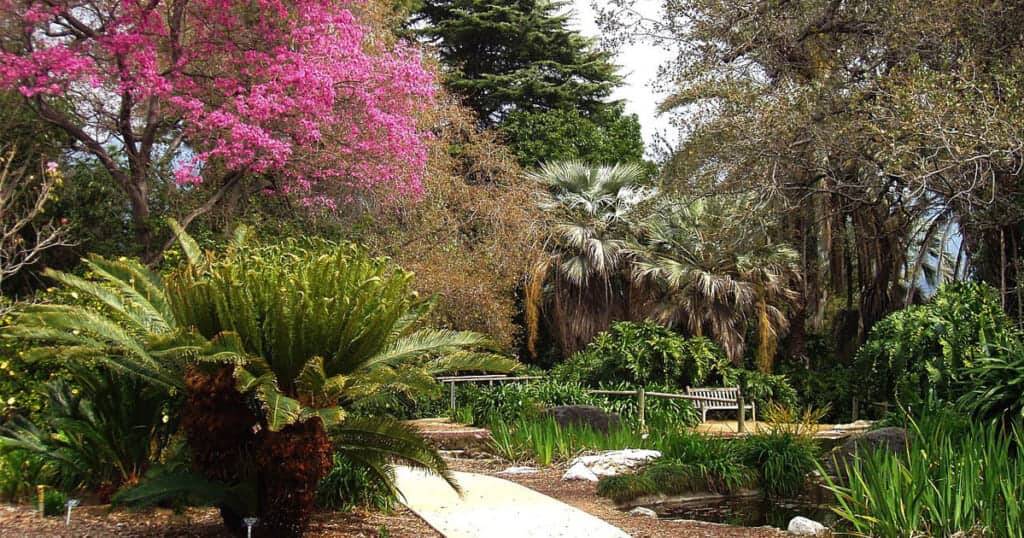 Beautiful Southern California Botanical Gardens Botanical Gardens