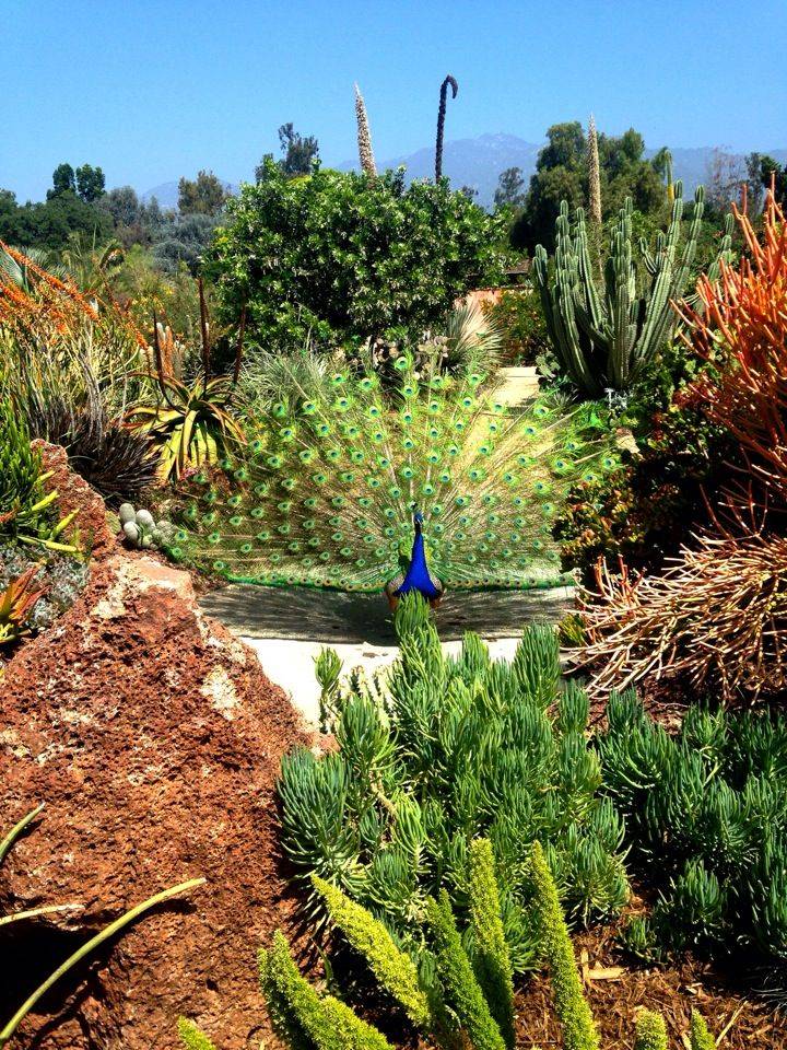 Beautiful Botanical Gardens