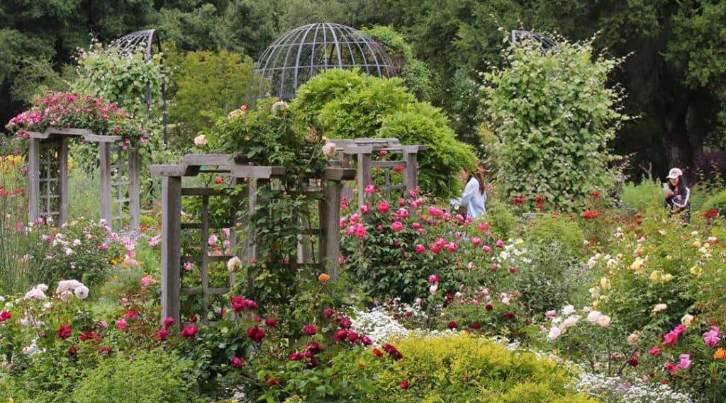 Las Botanical Gardens Lifestyle Los Angeles