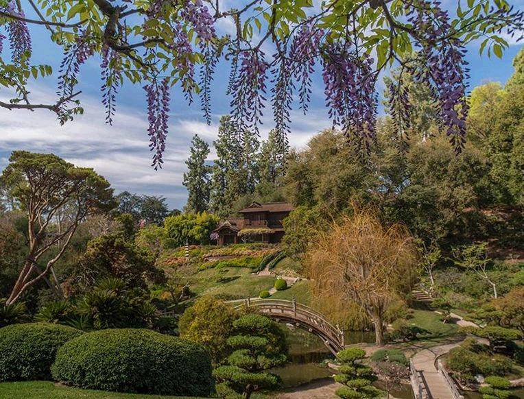 The Royal Botanical Gardens