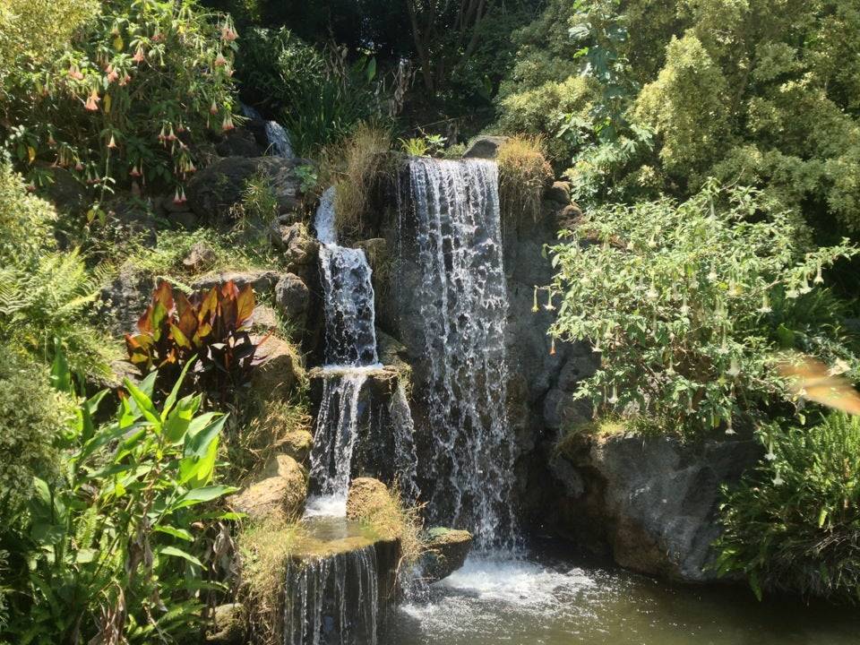 Magnificent Botanical Gardens
