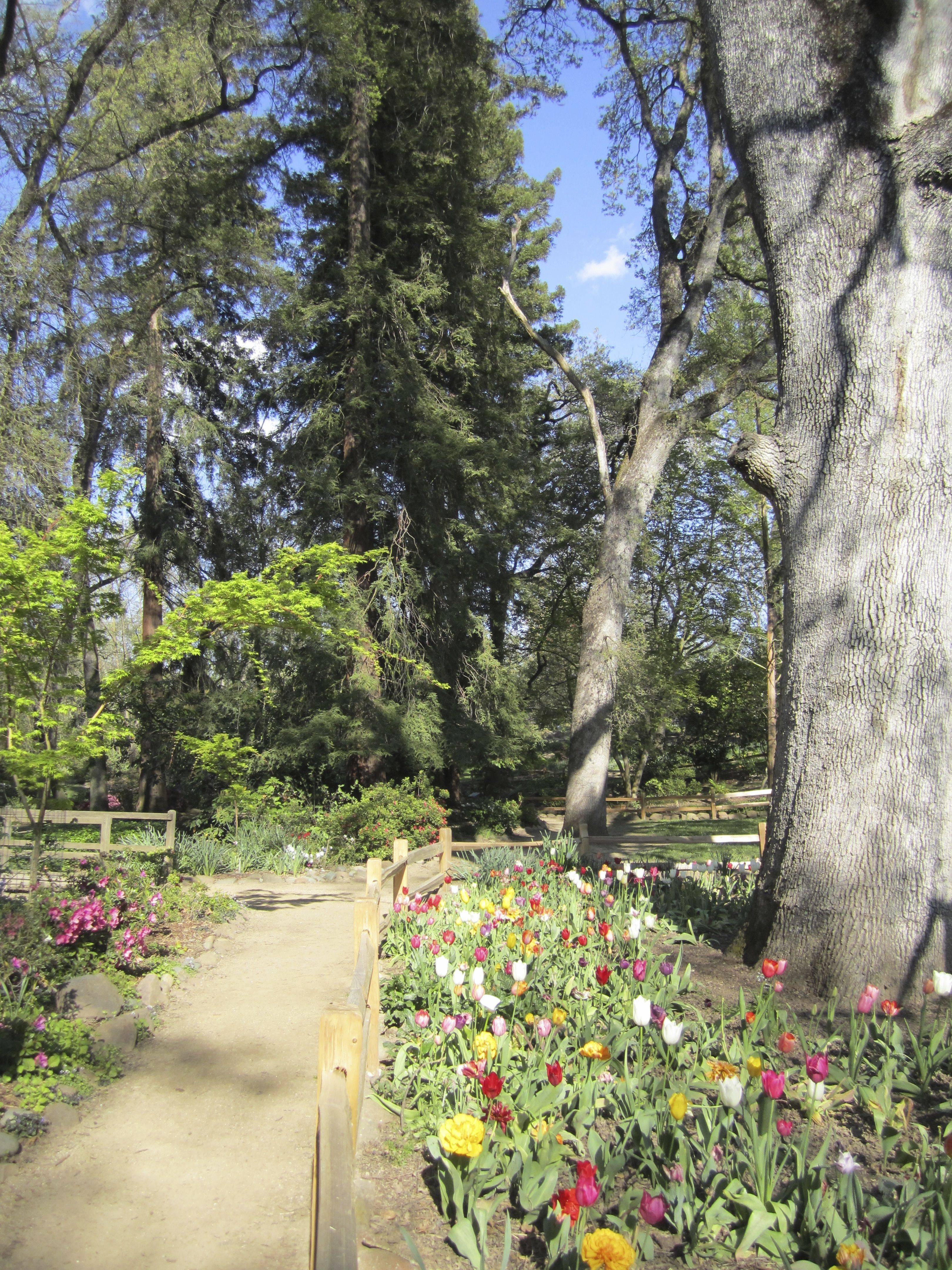 South Coast Botanic Garden