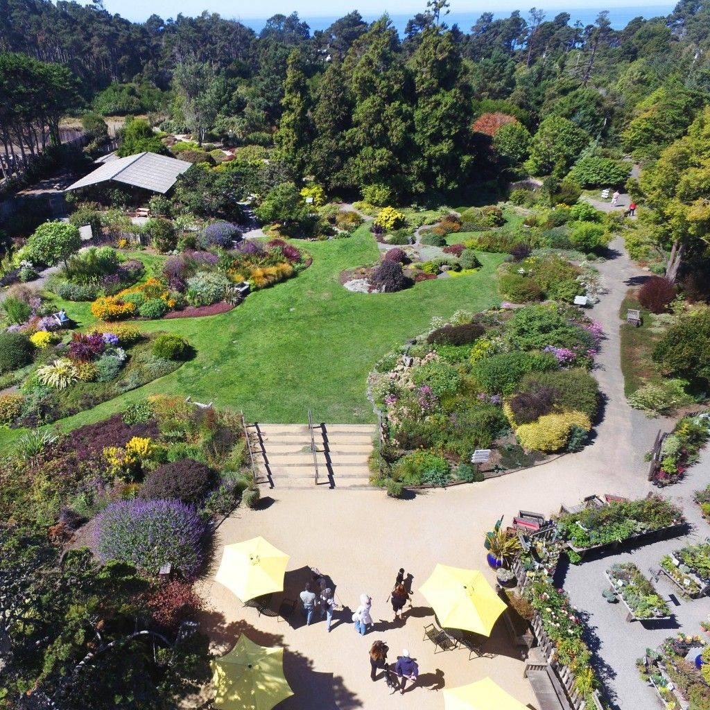 Mendocino Coast Botanical Gardens