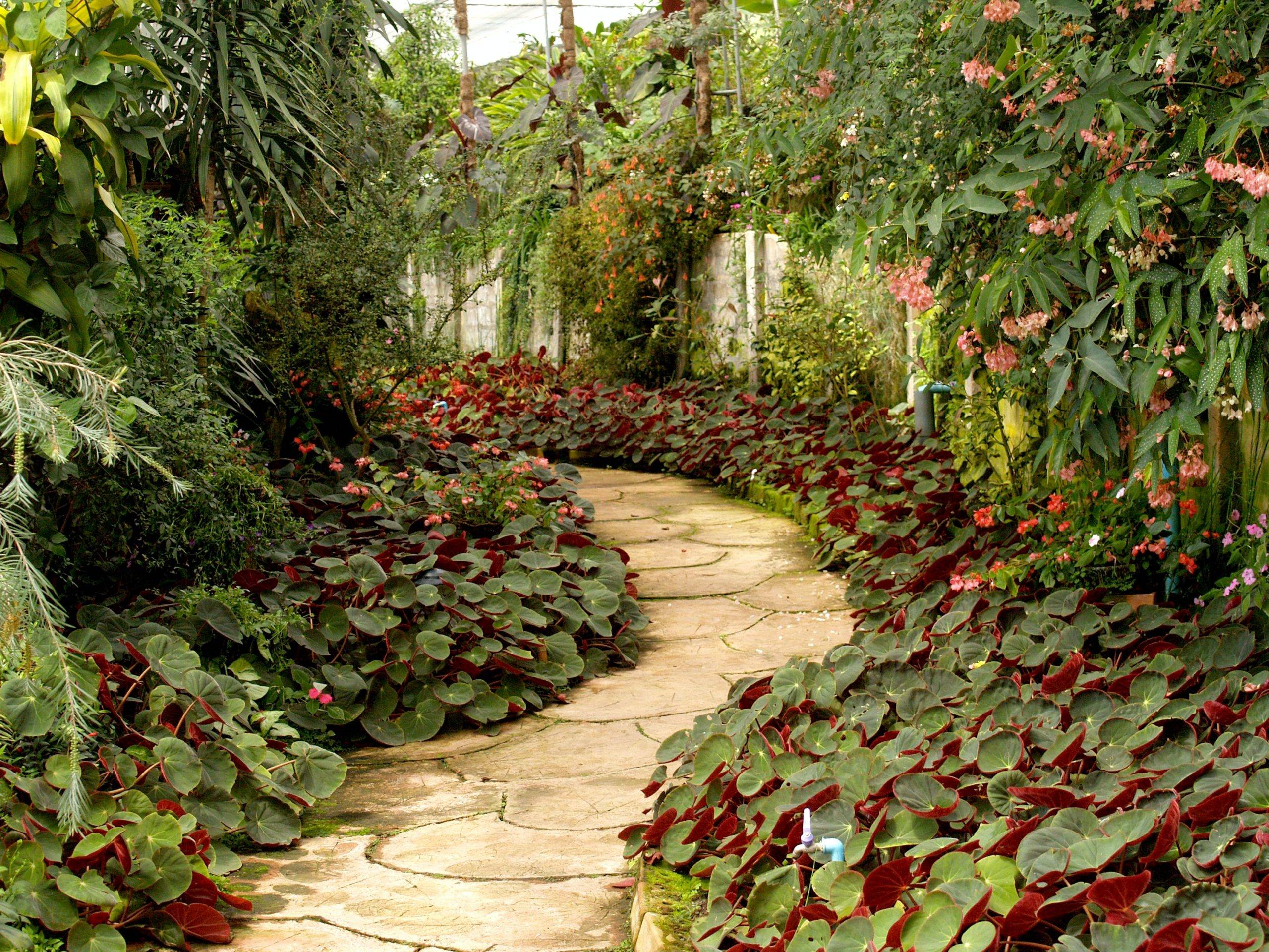 Beautiful Garden Design Ideas