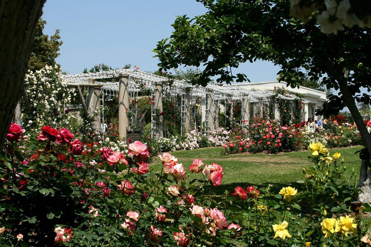 The Huntington Library