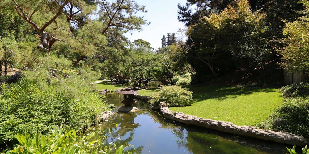 The Huntingtons Rose Garden Tea