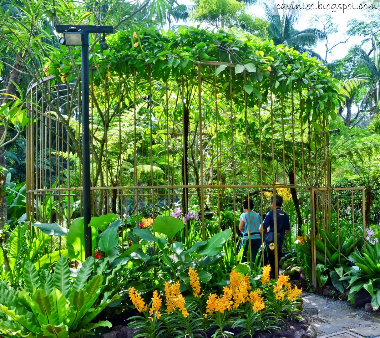 Singapore Botanic Gardens