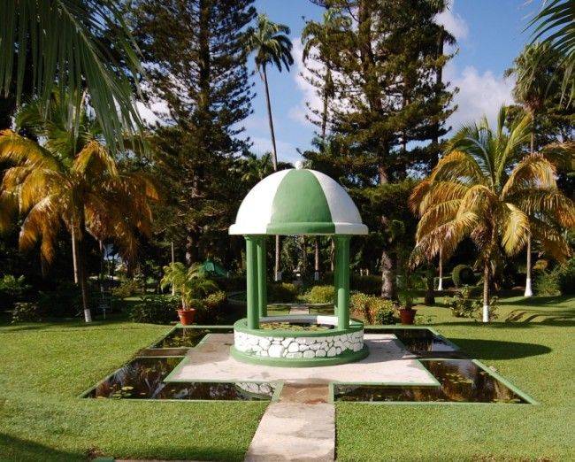 The Botanic Garden