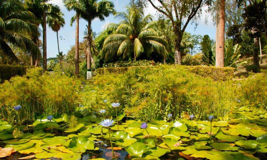 St Louis Botanical Garden