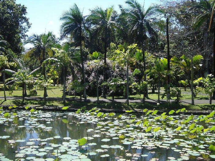 Botanic Gardens