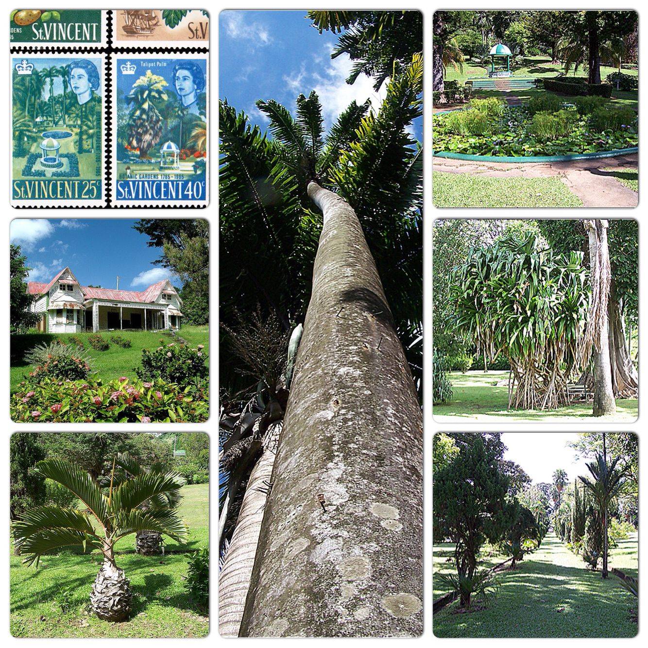 Georgetown St Vincent Saint Vincent