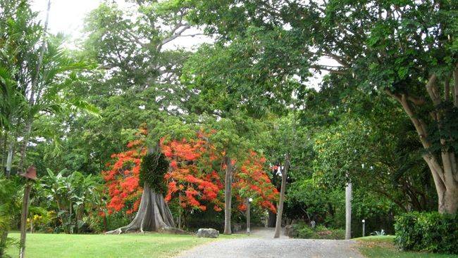 The Grenadines Saint Vincent