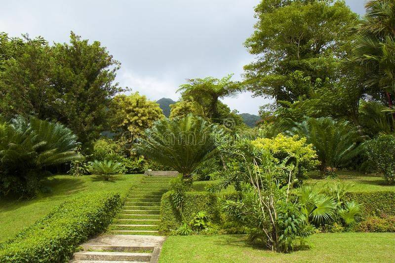 The Grenadines Saint Vincent