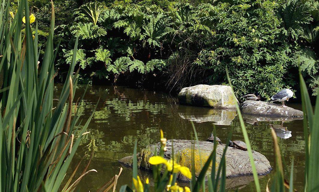 Gardens Golden Rock Inn