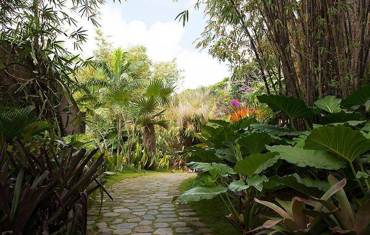 Indian Garden