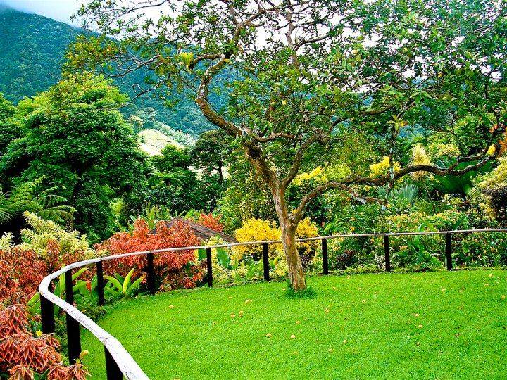 The Botanical Gardens