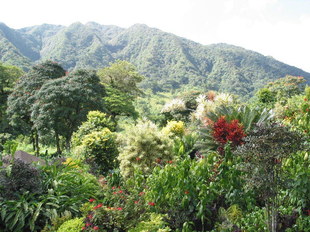 The Royal Botanical Gardens