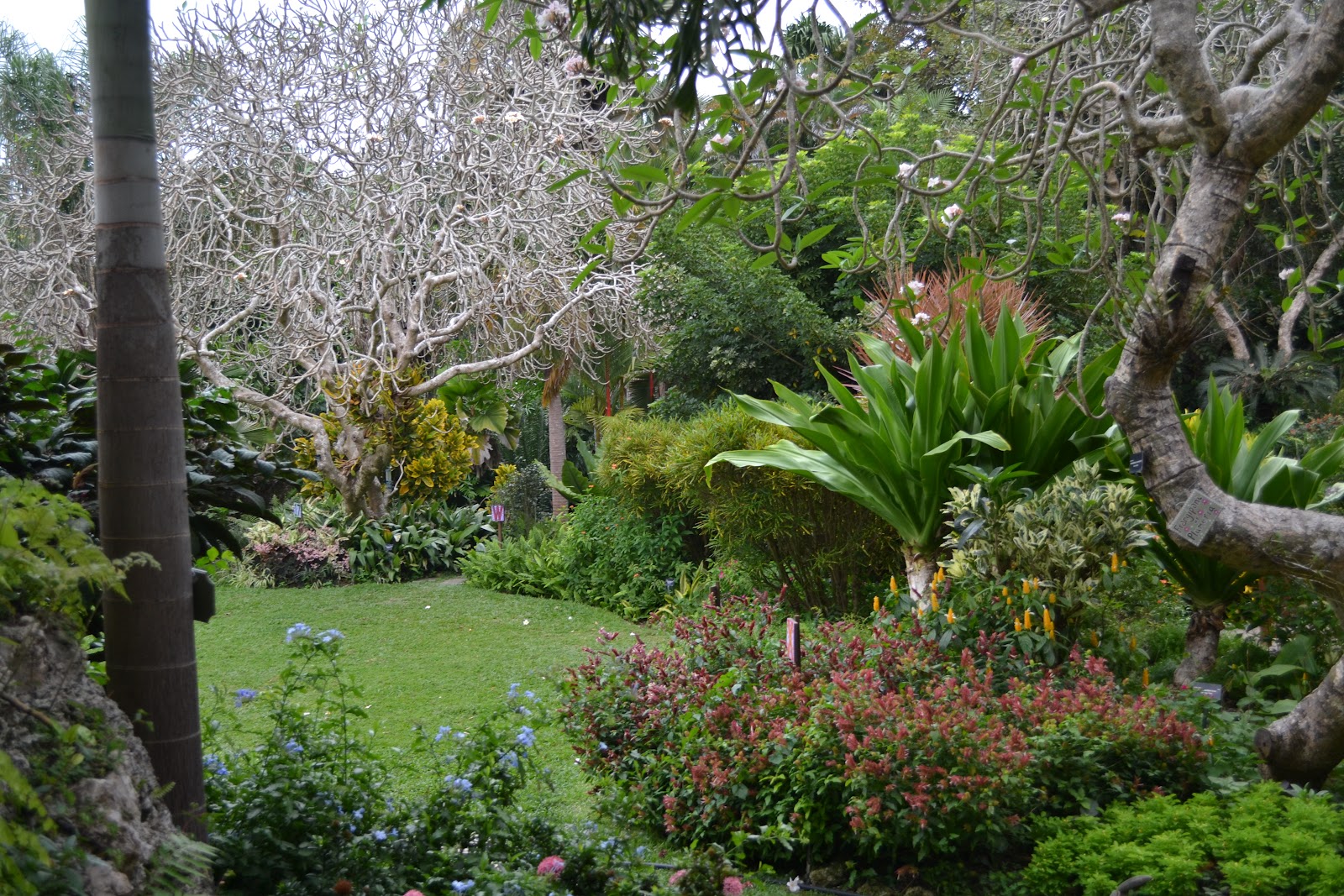 Barbados Botanical Gardens