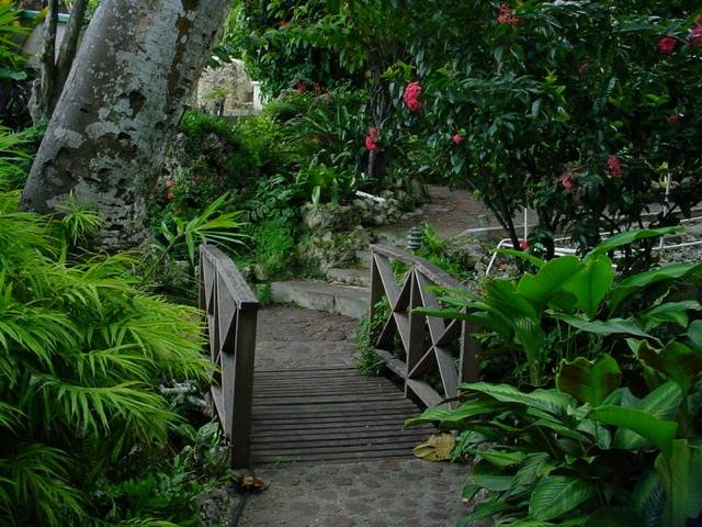 Andromeda Botanic Gardens Barbados