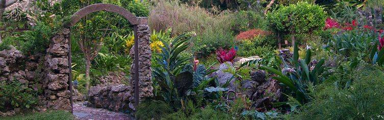 Andromeda Botanic Gardens Barbados