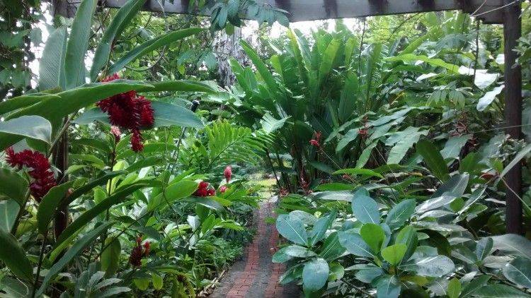 Andromeda Botanic Gardens
