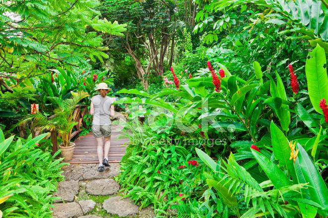 Barbados Andromeda Gardens Paradise Local Bajan