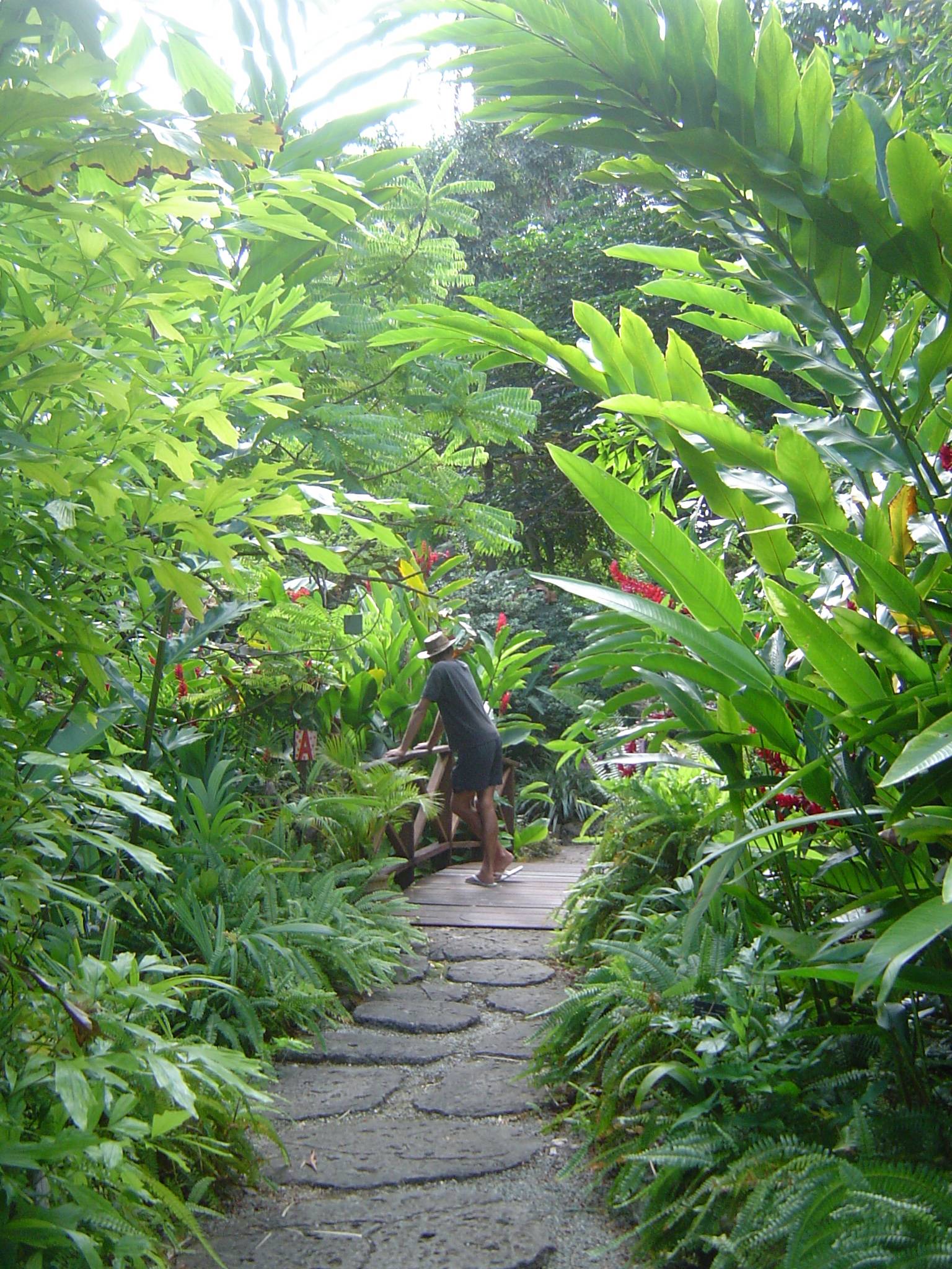 Andromeda Gardens Caribbean Holidays