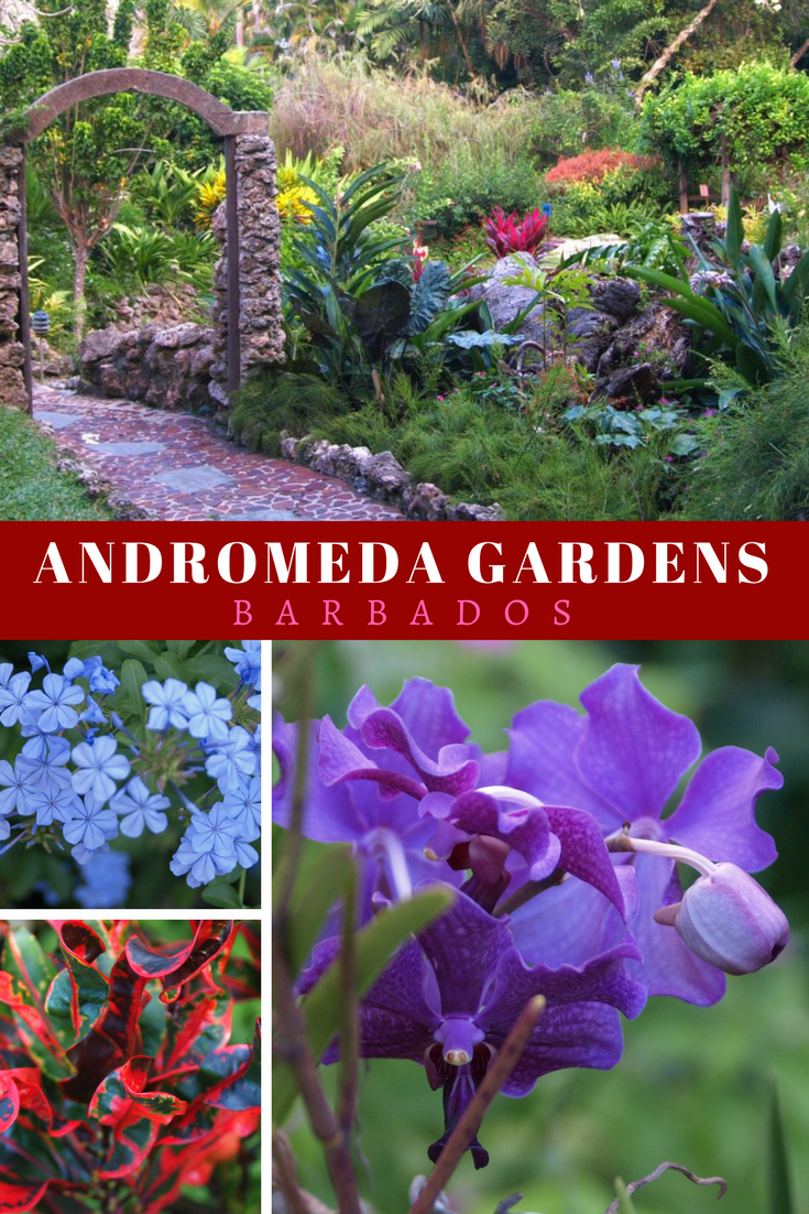 Andromeda Gardens