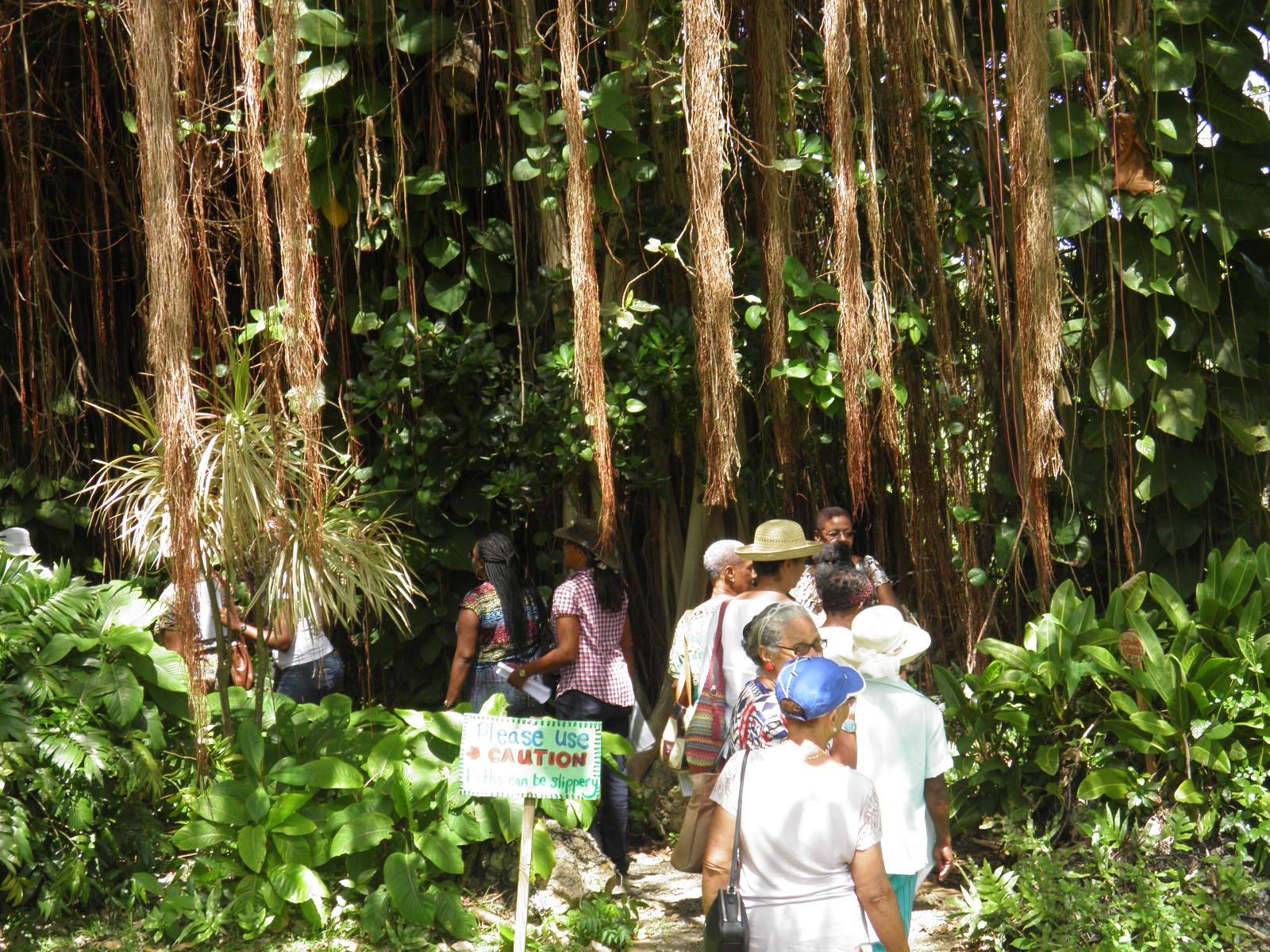 The Andromeda Botanical Garden