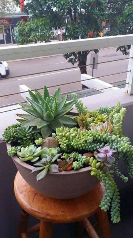 Gopinath S Container Garden Garte