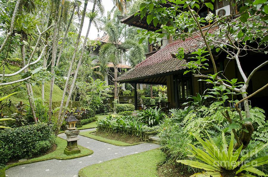 Best Balinese Gardens Images