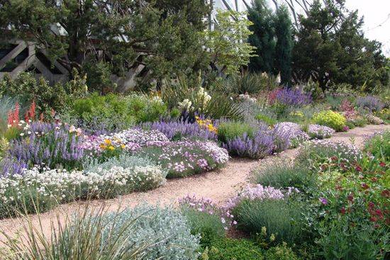 Best Alpine Garden Ideas Images