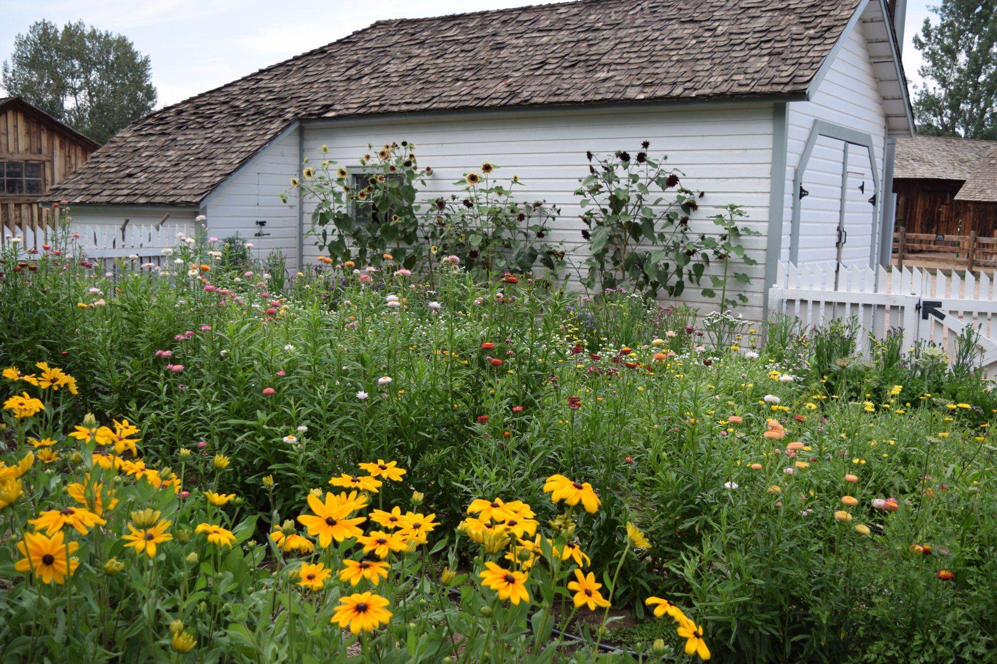The Chicago Botanic Garden