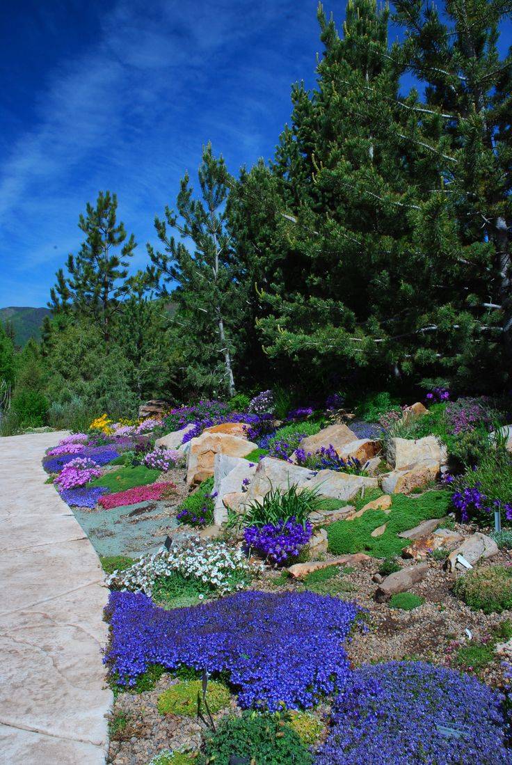 The Denver Botanic Garden