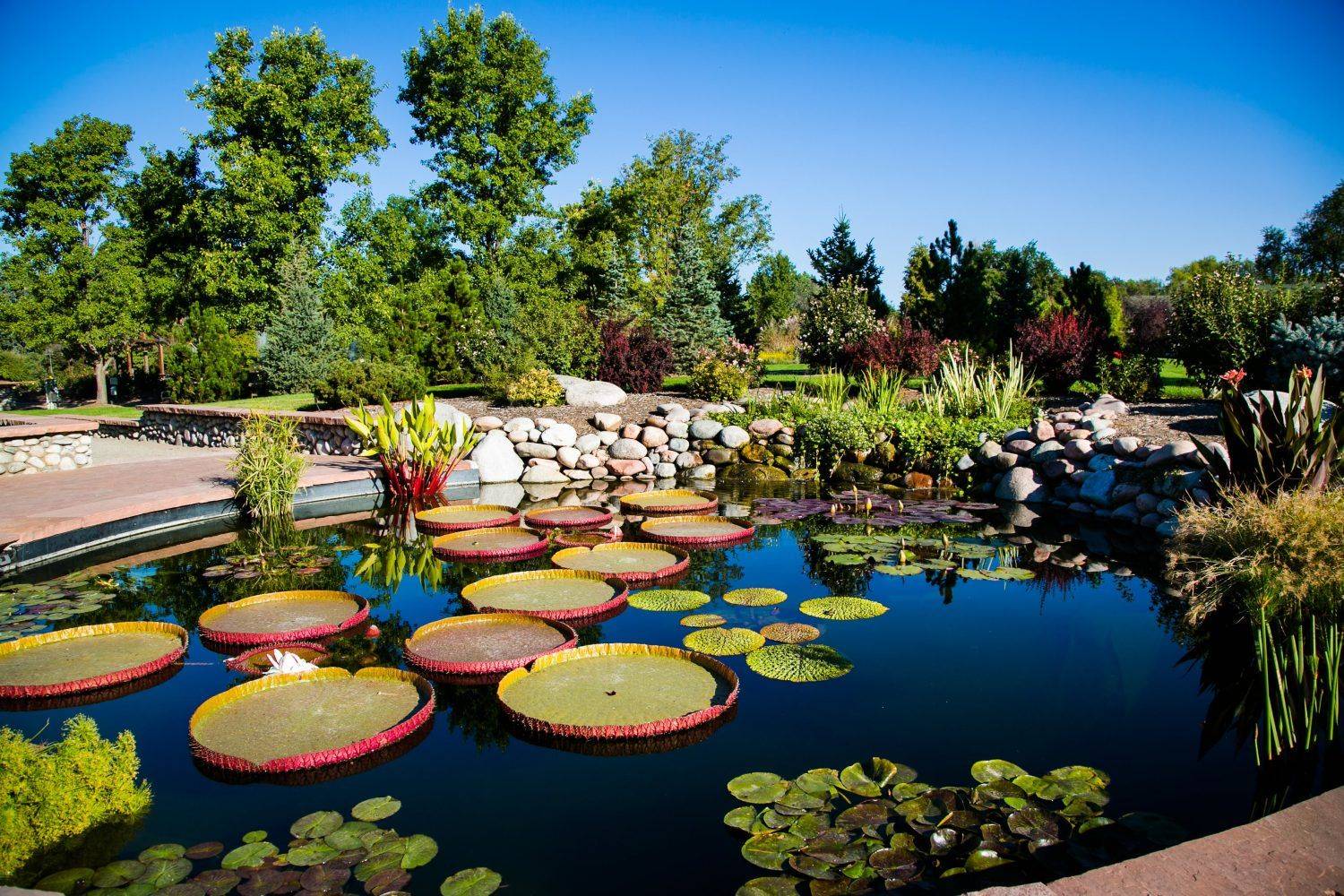 Role Of Botanical Gardens