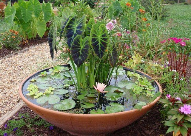 Lovely Backyard Ponds Water Garden Landscaping Ideas Page