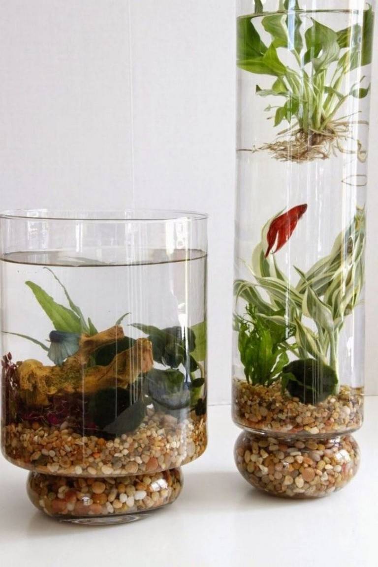 Indoor Water Garden Ideas