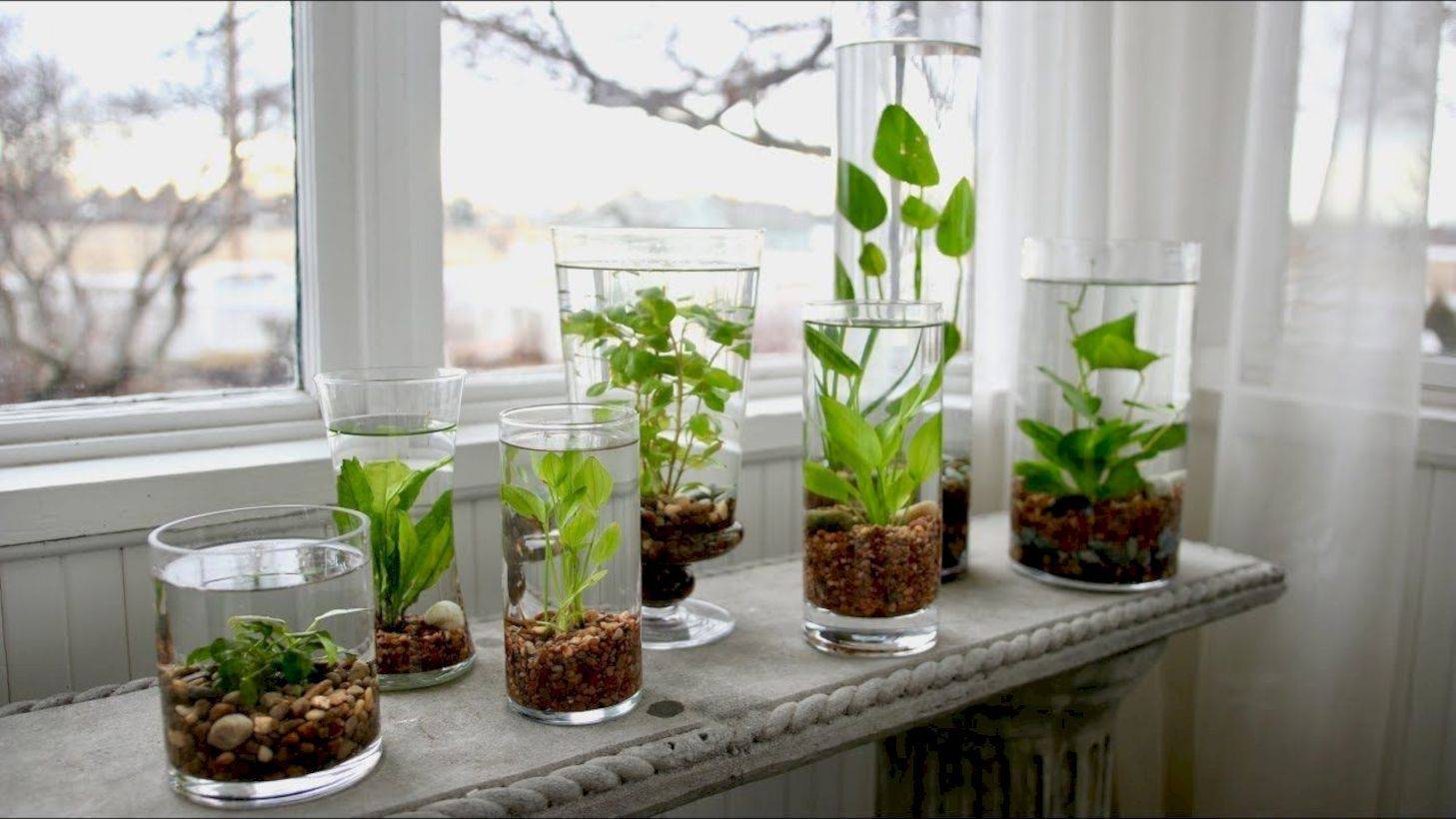 Naturalbackyardpondgardenideas