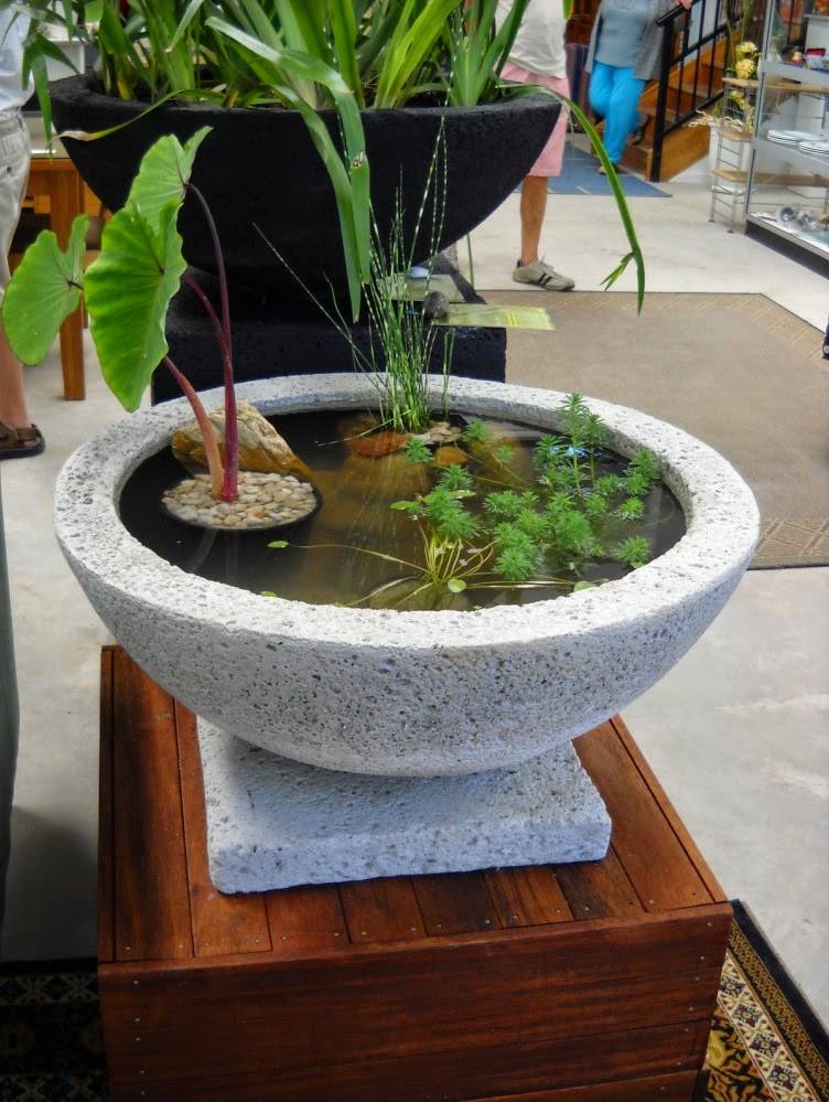 Koi Fish Pond