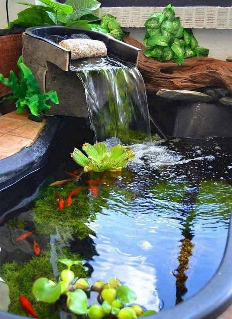 Stock Tank Patio Pond Fish Indoor Water Garden